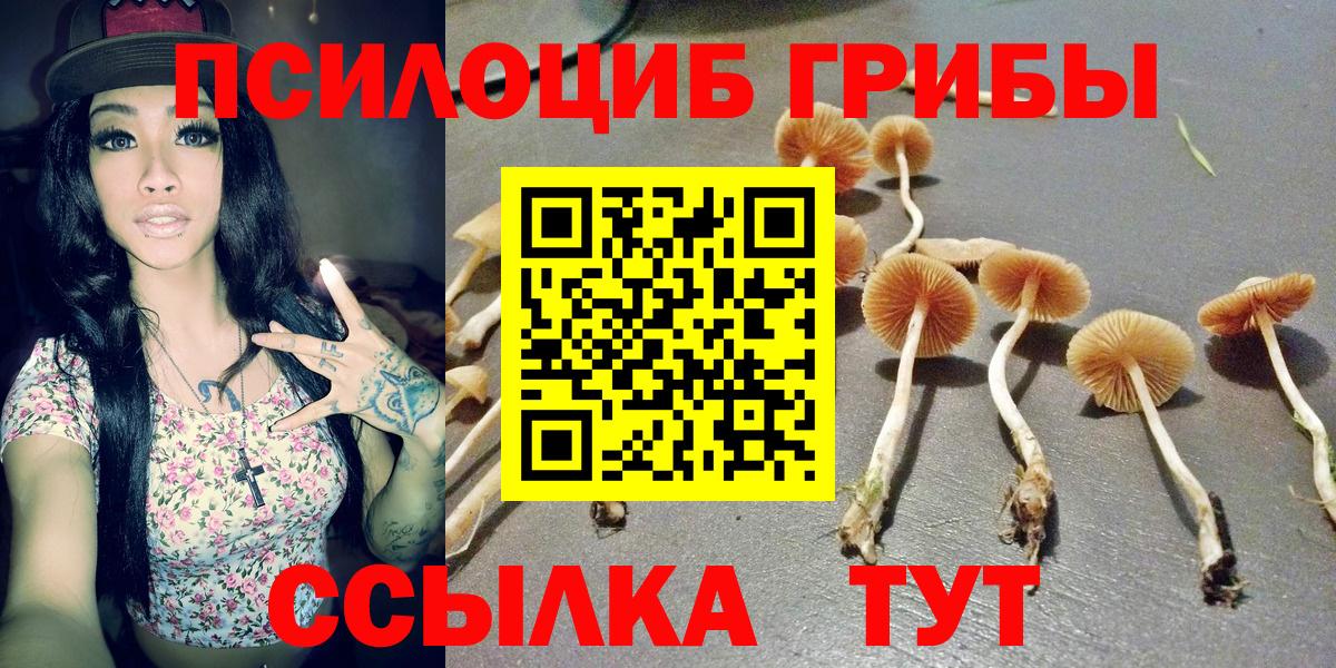 Псилоцибиновые грибы ЛСД  Вход с VPN  Гурьевск 